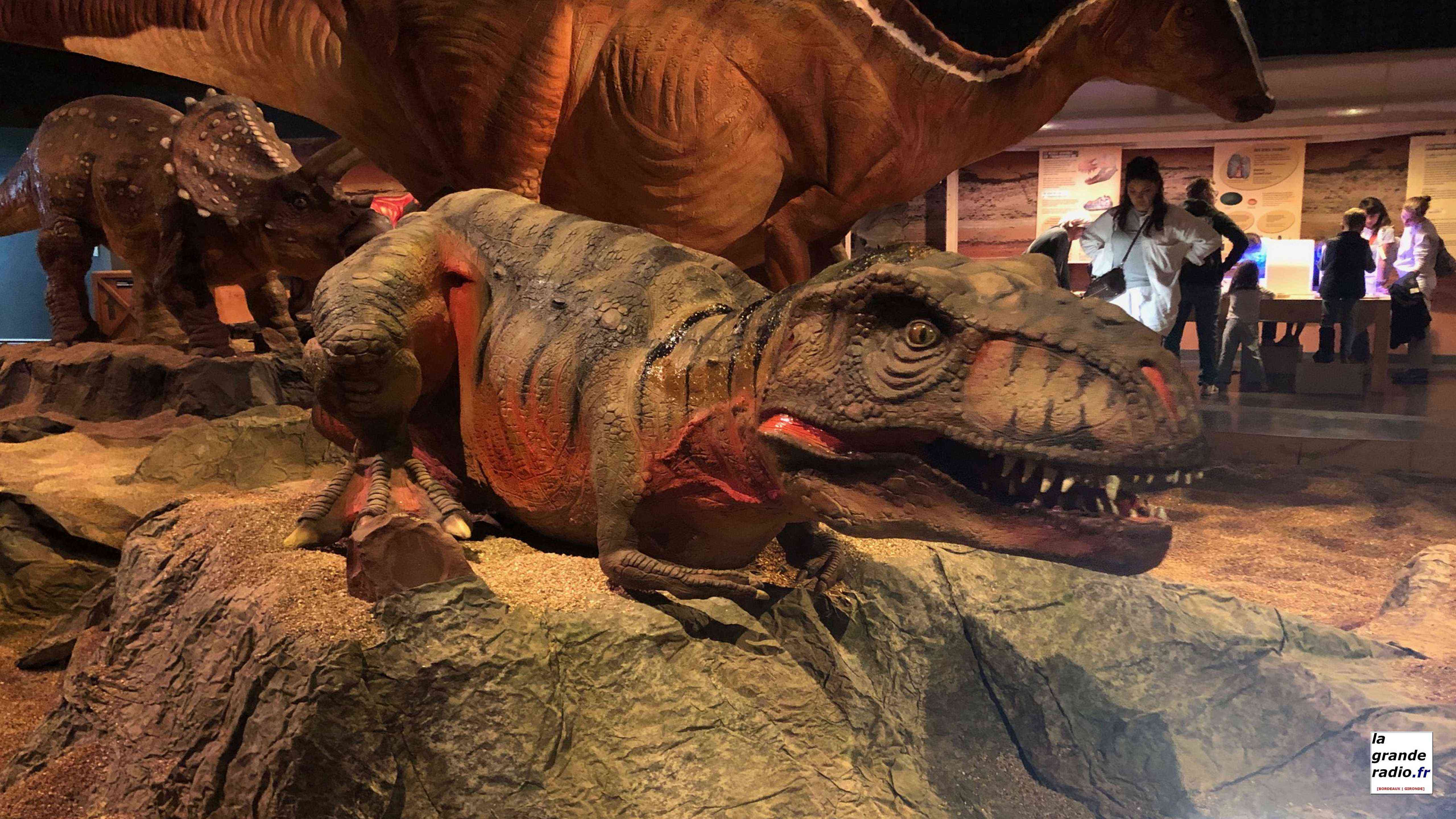 Bordeaux : Une exposition grandeur nature sur les dinosaures à découvrir à Cap Sciences