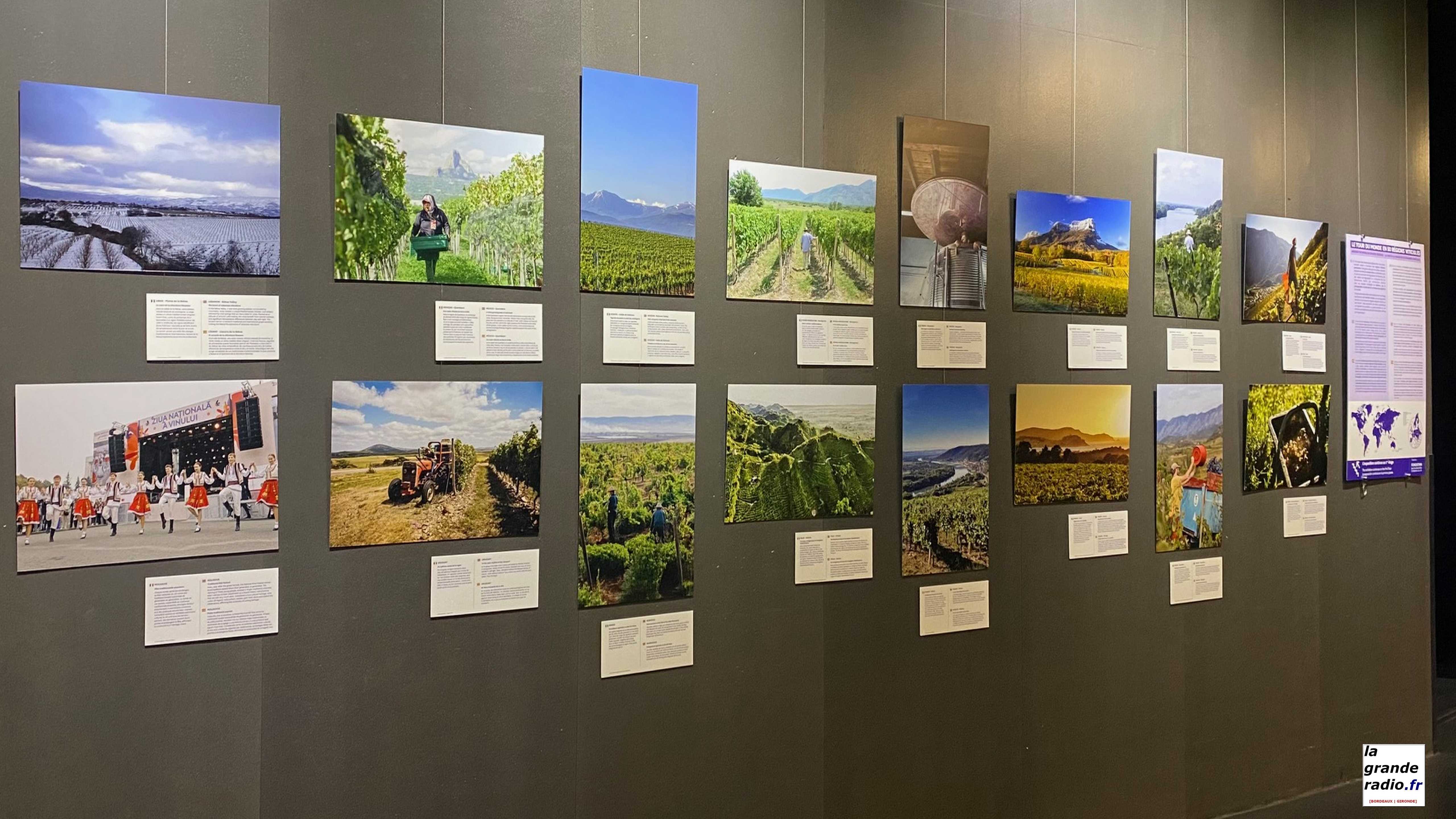 Dans le cadre des 10 ans de la Cité du Vin à Bordeaux un tour du monde en photos de 50 régions viticoles